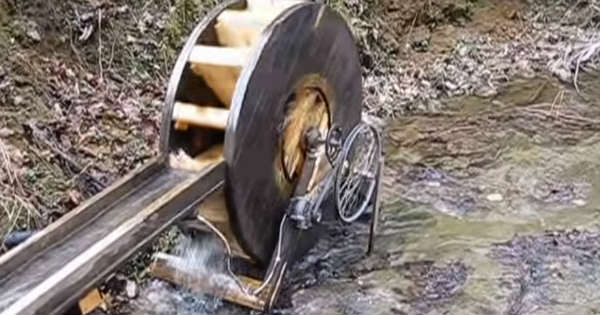 water wheel generator 2
