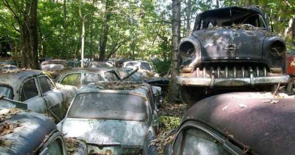 -1500 Classic Cars Switzerland Greatest Vintage Car Graveyard 6