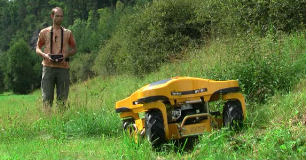 Modern Grass Cutter lawnmower 2