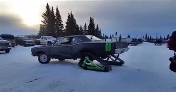 Dodge Coronet SuperBee Snow 1