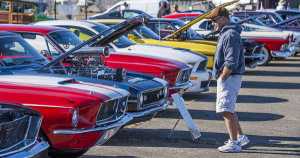 Muscle Cars Zone