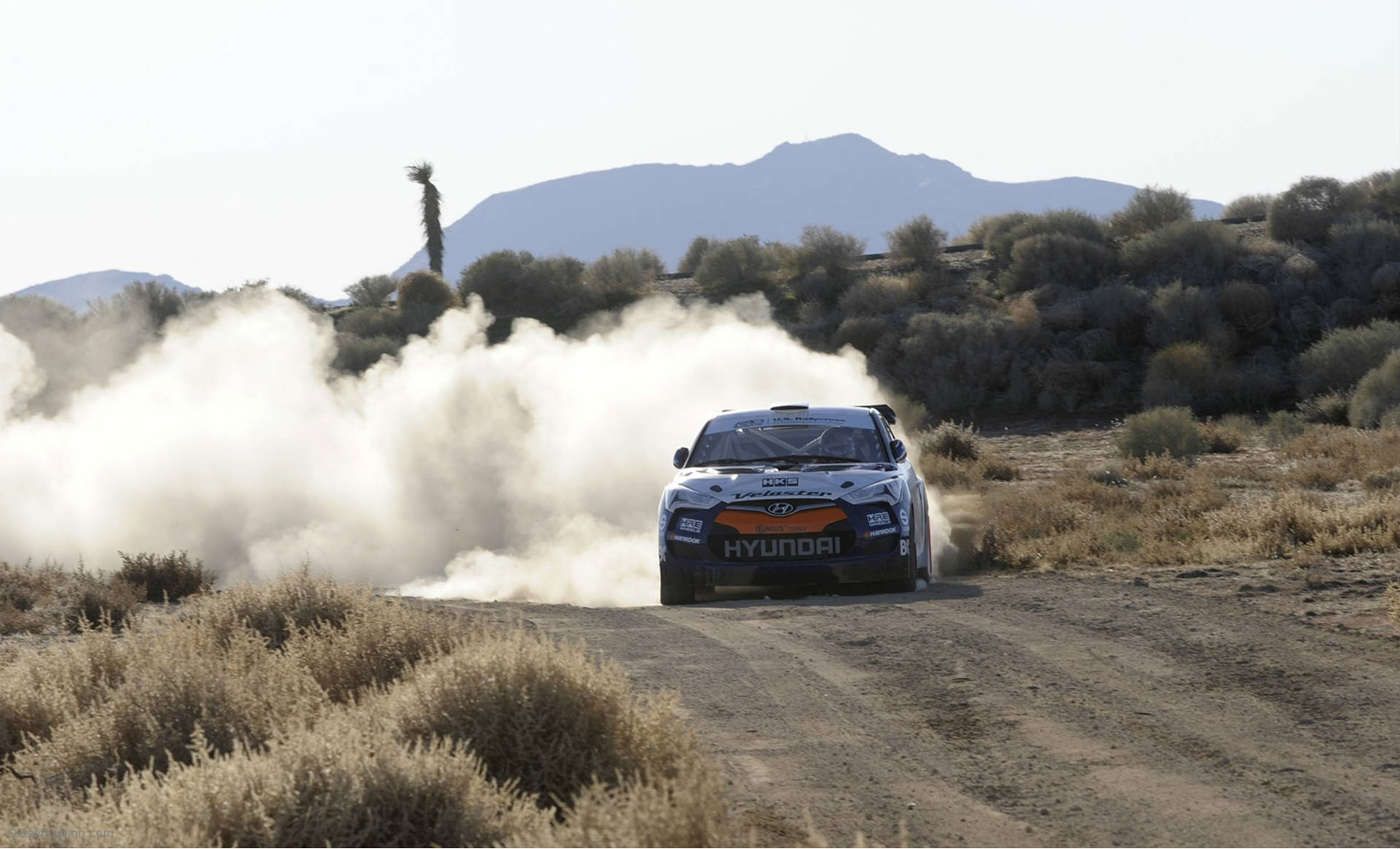 hyundai veloster rally car 4