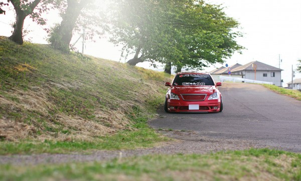 Bee Dragon GRS 181 2