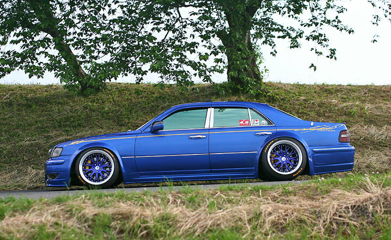bee dragon q45