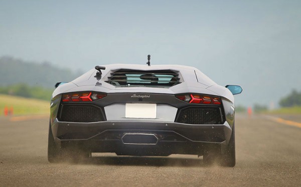 Raging bull Aventador