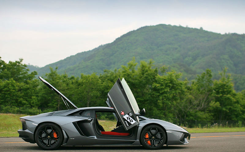 Raging bull Aventador 6