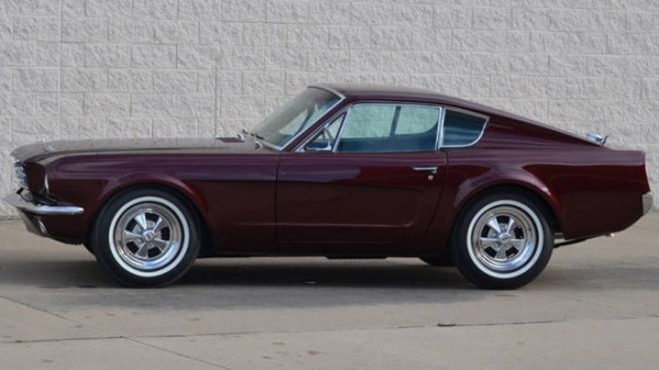 mustang-shorty-2