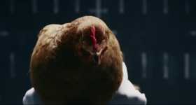 Mercedes Benz TV commercial Chicken