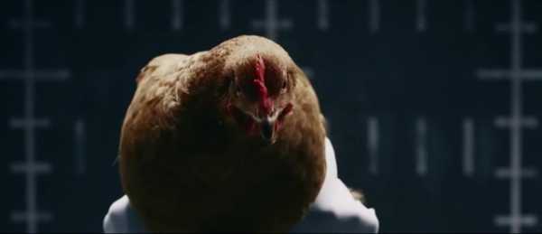 Mercedes Benz TV commercial Chicken