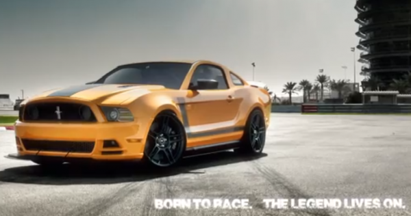 mustang Chase Like a Boss