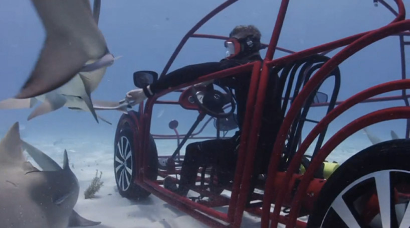 VW Beetle Convertible shark