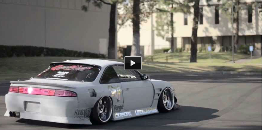 Drift Team Animal Style