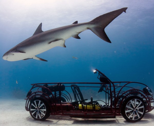 volkswgen-beetle-shark-week