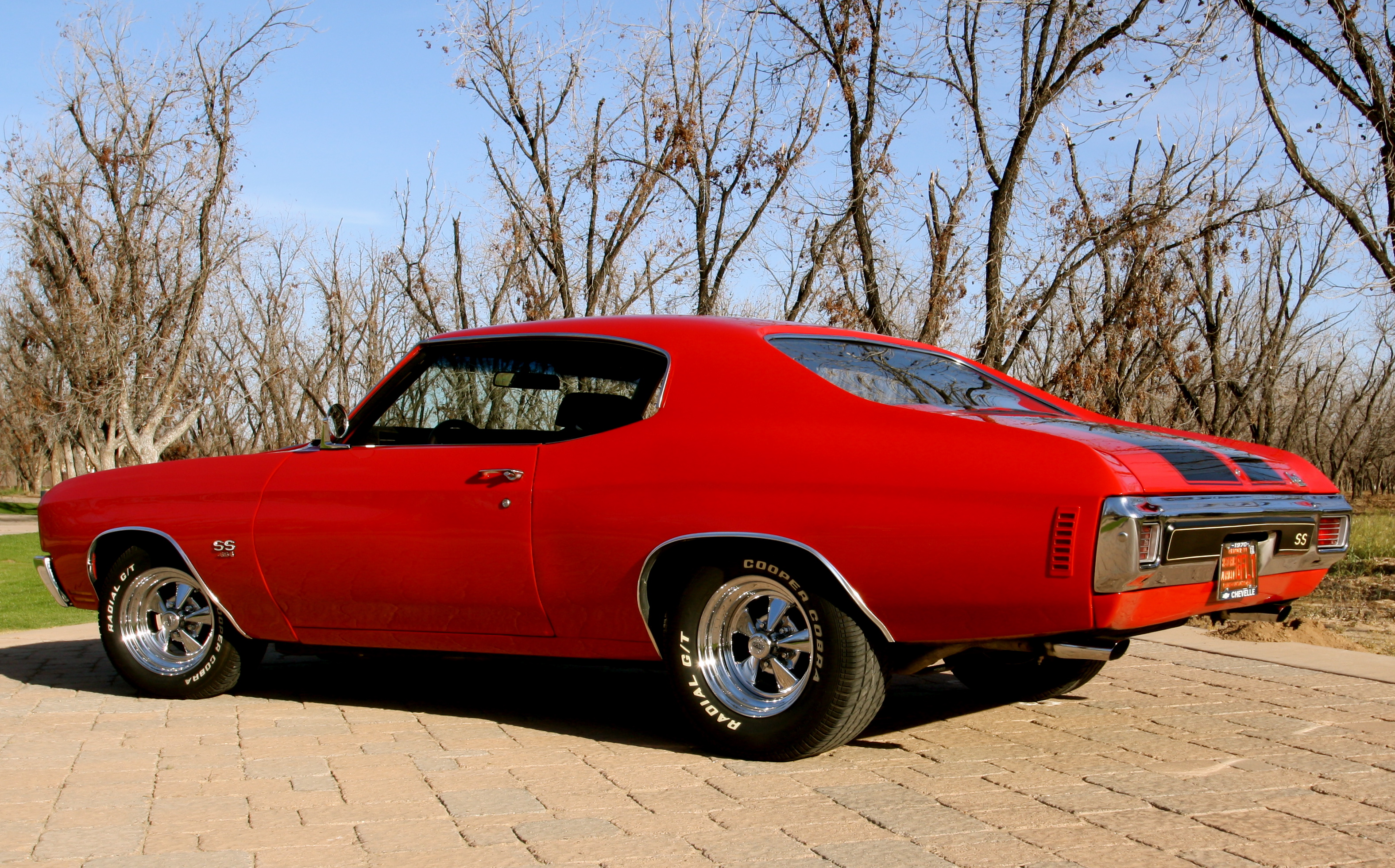 1970 Chevelle Baby 2
