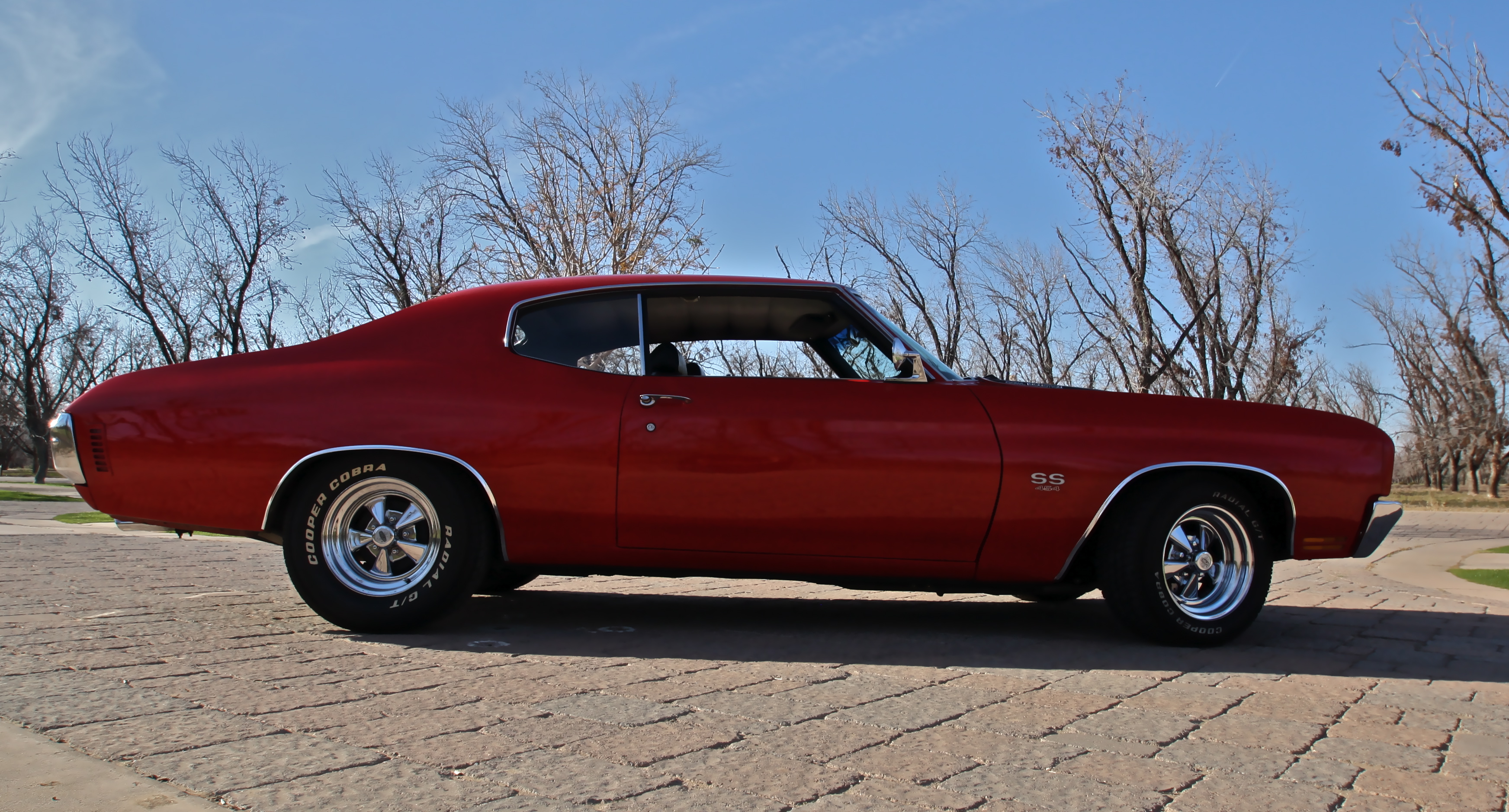 1970 Chevelle Baby 3