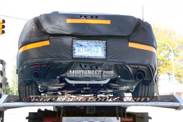 MustangGT.under01.KGP.ed-2840029877-O