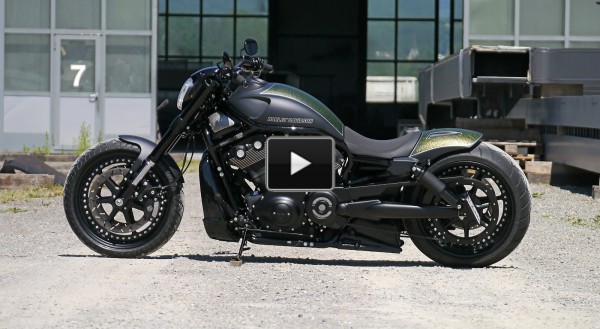 harley davidson v rod custom