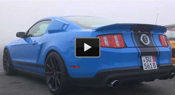 2013 shelby gt500 mustang