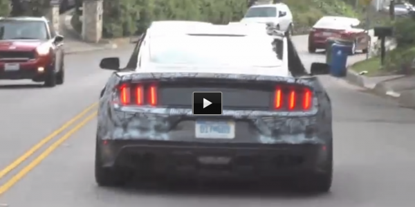 Shelby GT500 SVT Cobra Test Drive