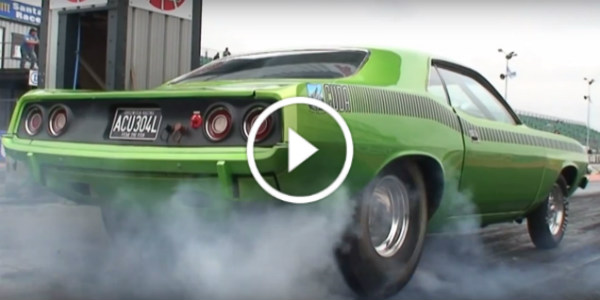 9 Sec Green Fish Cuda 2