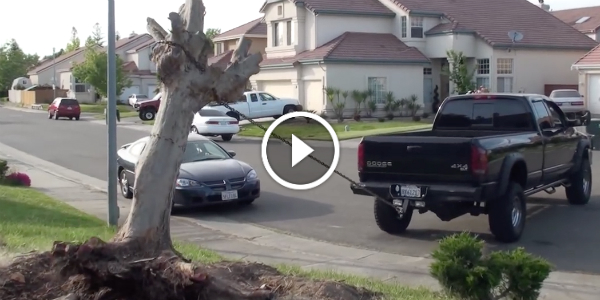 TREE vs Dodge SLT 4X4 Cummins 5 4