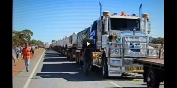 Semi Truck Tractor Trucking 79 trailers