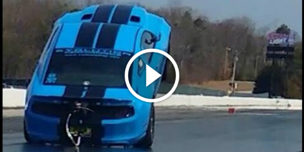 Furious Performance Of 2000hp Wheelie King Shelby GT500! We Fell In Love Again! Blue Shelby