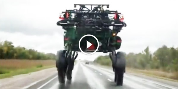 UFO Spotted on the road