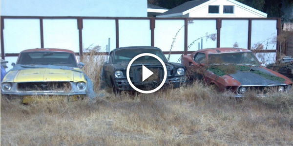 If You Think That FINDING 4 Classic MUSTANG in your BACK YARD Sounds Impossible Than You Must Watch This