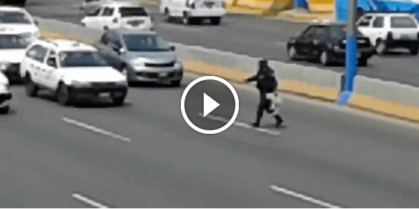 Police Officer SAVES DOG By Stopping 5 Lines Of Busy Traffic! TRUE HERO!!