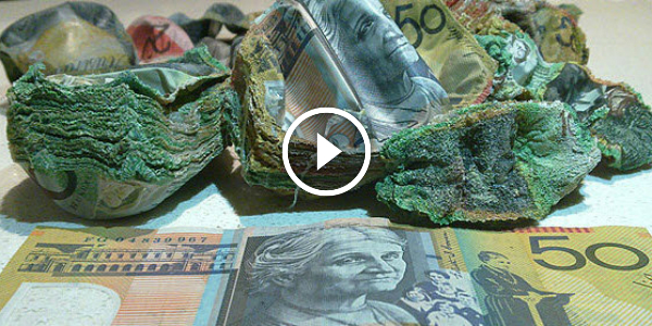 Burning Money STORY He Sold His Supra for $20000 And Has Hidden The Cash In The Oven! His Wife Cooked The MONEY!!