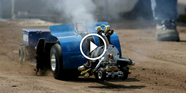 WORLD's Best rc truck pullers Small Like A BEE, Powerful Like GRIZZLY! WOW!