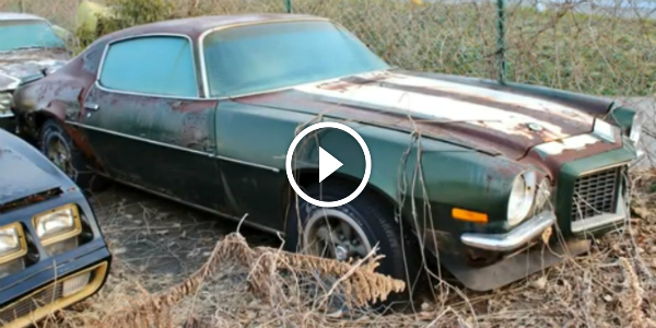 1970 Chevy Camaro Z28 The CONDITION of This 1970 Chevrolet Camaro Z28 Will Break Your Heart! Any Saviour! 1