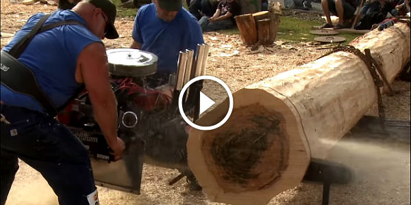 v8 powered chainsaw 1