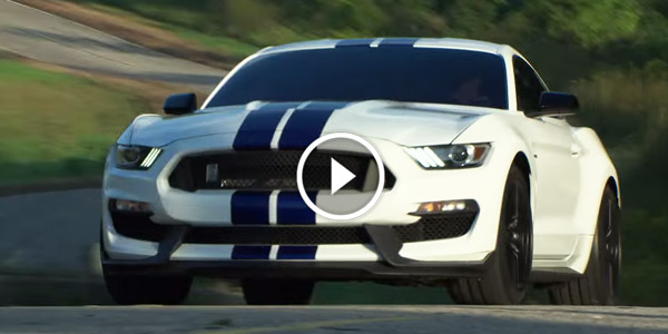 Gearhead Approved FORD MUSTANG SHELBY GT350