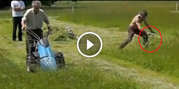 UNUSUAL Competition Sickle Bar Mower vs The Good Old SCYTHE! HorsePower vs MANPOWER! Guess The Winner! 46