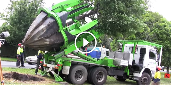 Tree Transplanting with ArborCo Melbourne