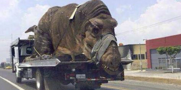 DINOSAUR On Truck Bed And Transferred In The Middle Of The Day 411