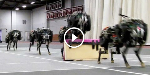 robotic cheetah FASTEST LEGGED ROBOT The First CHEETAH RUN JUMP Over Obstacles 33