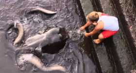 Manta ray Fish Kid Play 2