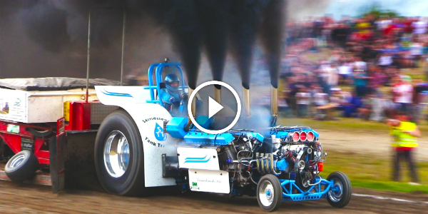 Slædehunden BEST FULLPULLS 15