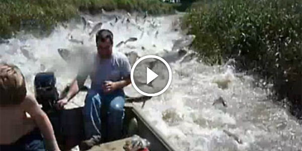 Thousands Of FISH JUMPING Out Of The Water Like CRAZY 11