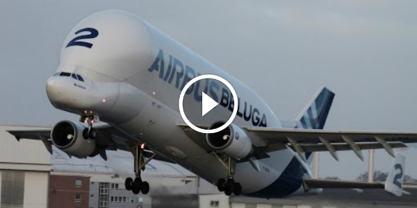 Super Transporter Airbus A300B4-600ST The Super Transporter BELUGA Take-Off & Landing VIDEOS 532