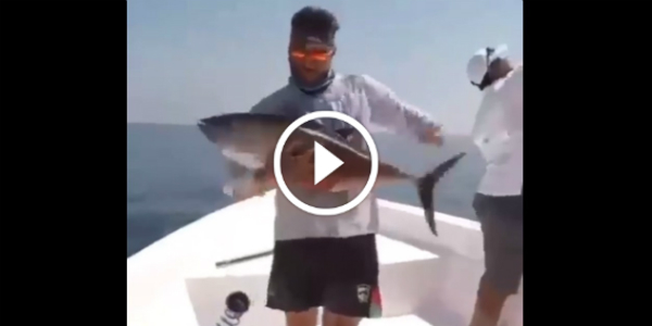 Hold It Tight FISH TUNA Go HILARIOUS Good Fishing Trip
