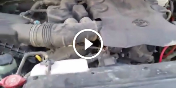 TOYOTA Produces Strange Car Sounds Mother In Law 6