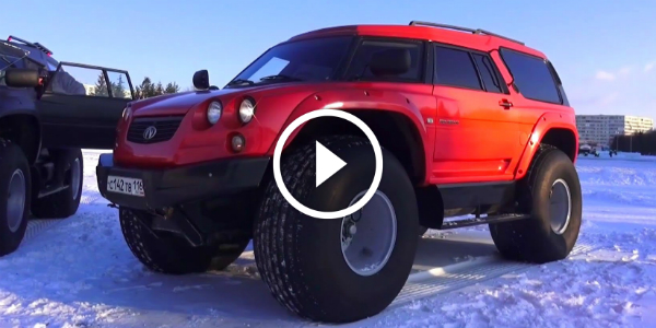 2014 VIKING 29031 Advanced Vehicle By Aton OFF-Road BOSS 12