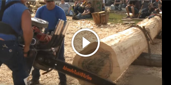 V8 CHAINSAWS
