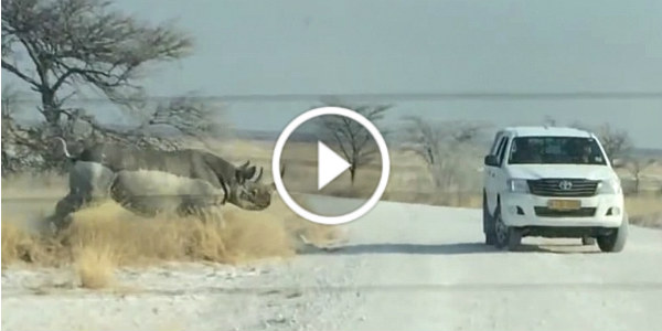 Rhino Attack vehicle 1 play