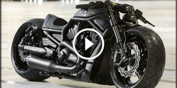 custom harley davidson night rod fredy 2 TN