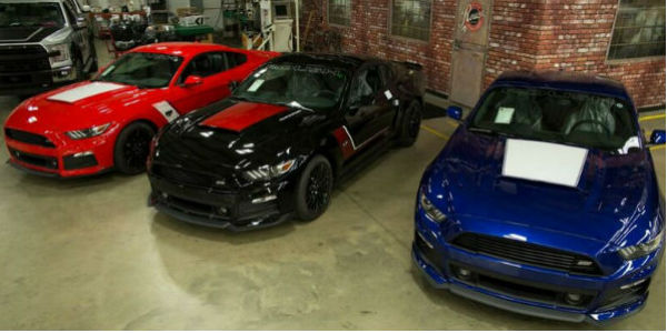 2016 Ford Mustang Warrior cover